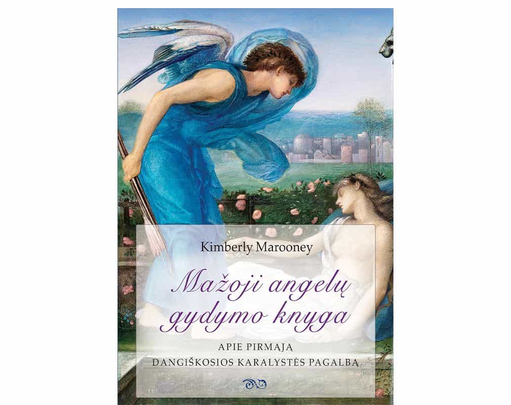 MAŽOJI ANGELŲ GYDYMO KNYGA